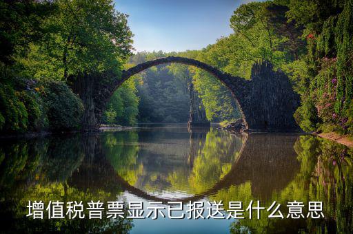 什么是報送報告，什么是報送審計