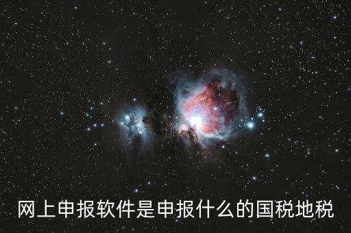 國稅申報軟件是什么，申報軟件是什么