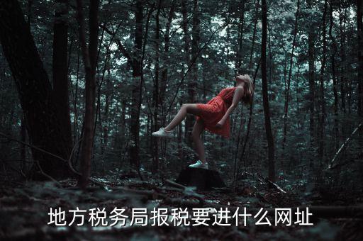 地方稅務局報稅要進什么網(wǎng)址