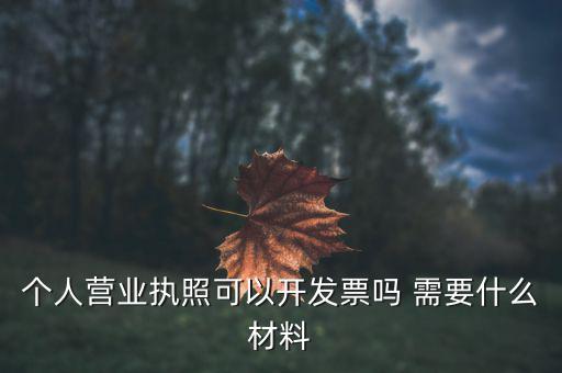 個體打印發(fā)票需要什么，個人購物開增值稅普通發(fā)票需要什么資料