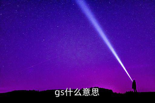 什么是gs系統(tǒng)，gs什么意思