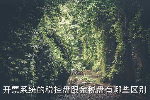金稅盤和稅控盤什么區(qū)別，金稅盤和稅控盤開(kāi)出的發(fā)票有什么區(qū)別
