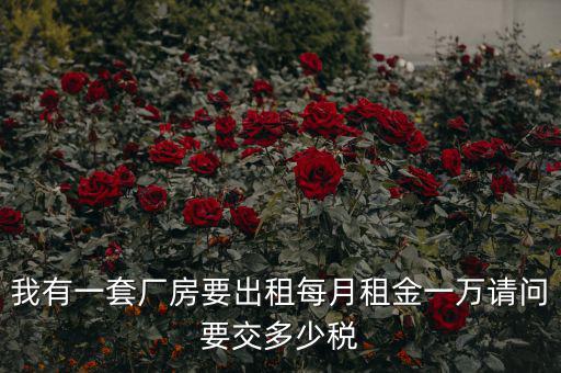 個人租廠房要交什么稅，我有一套廠房要出租每月租金一萬請問要交多少稅