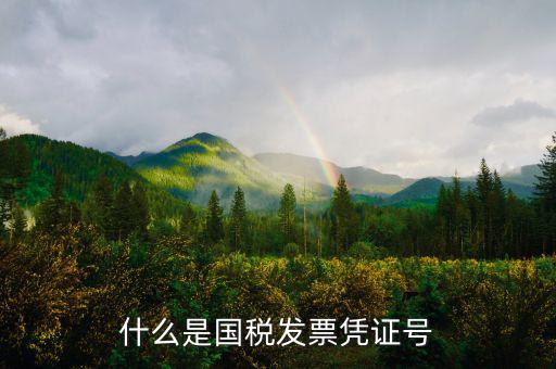 國稅辦稅號是什么，什么是國稅發(fā)票憑證號