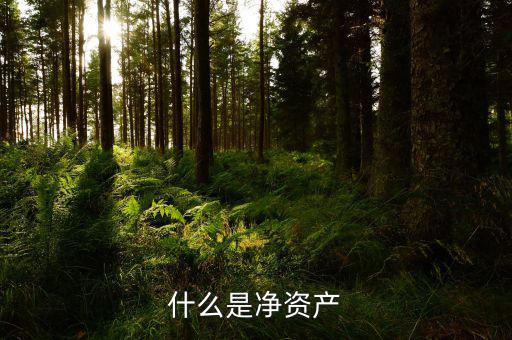 什么凈資產(chǎn)稅，什么是凈資產(chǎn)