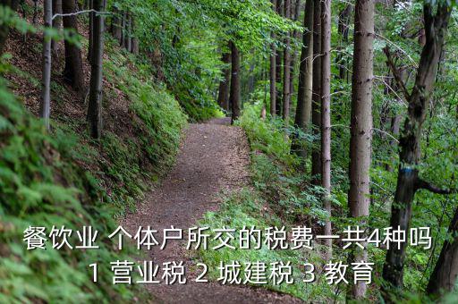 個體餐飲業(yè)交什么稅，餐飲業(yè) 個體戶所交的稅費一共4種嗎 1 營業(yè)稅 2 城建稅 3 教育