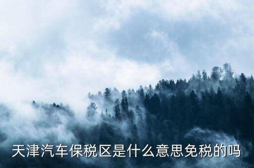 天津汽車(chē)保稅區(qū)是什么意思免稅的嗎