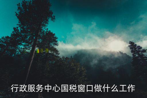 廣州國稅2號窗口是什么意思，越秀國稅東風(fēng)西路辦稅服務(wù)點叫什么