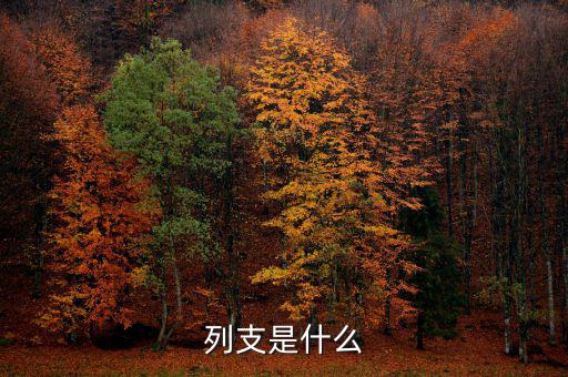 賠付支出能列支什么意思，列支是什么意思