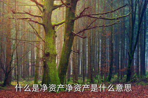 凈資產(chǎn)核定法是什么意思，凈資產(chǎn)是什么意思