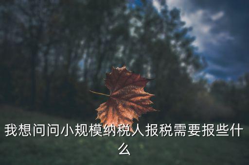 小規(guī)模國(guó)稅申報(bào)些什么，小規(guī)模納稅人國(guó)稅需要報(bào)什么資料