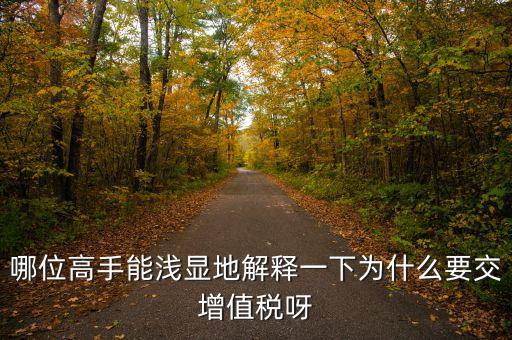 為什么要繳增值稅，為什么要有消費者付增值稅