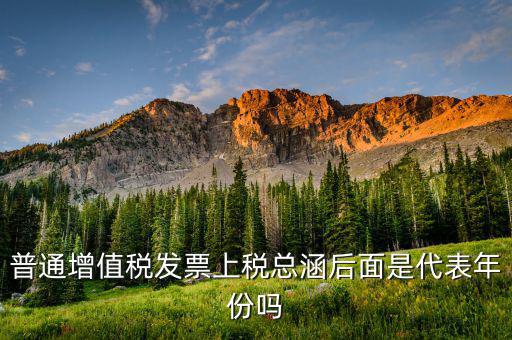 稅總涵2016代表什么意思，稅總財(cái)行便函201616號保險(xiǎn)公司開具保險(xiǎn)發(fā)票車船稅只在備注