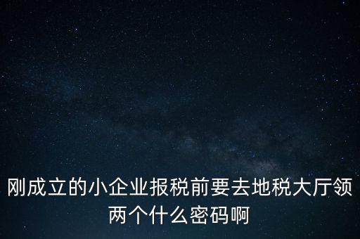繳稅服務(wù)廳口令輸什么，剛成立的小企業(yè)報稅前要去地稅大廳領(lǐng)兩個什么密碼啊