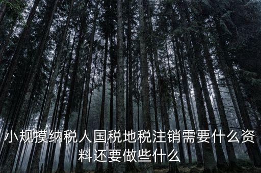 國地稅注銷需要什么，小規(guī)摸納稅人國稅地稅注銷需要什么資料還要做些什么