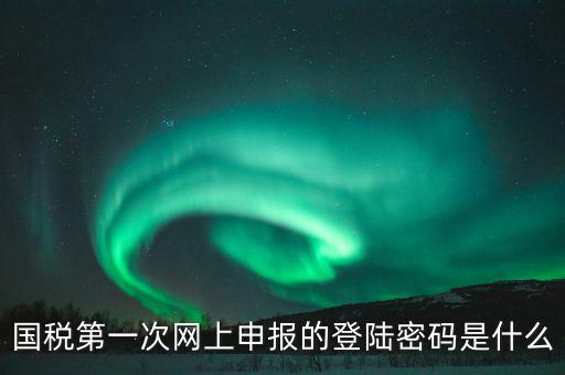 杭州國稅申報密碼是什么意思，國稅第一次網(wǎng)上申報的登陸密碼是什么