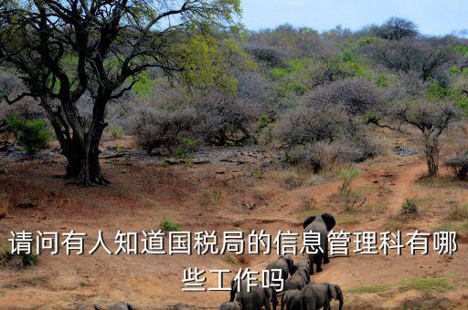 稅務信息崗位主要負責什么，地稅信息中心具體做些什么工作