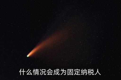 什么是固定納稅人，什么是定額納稅人