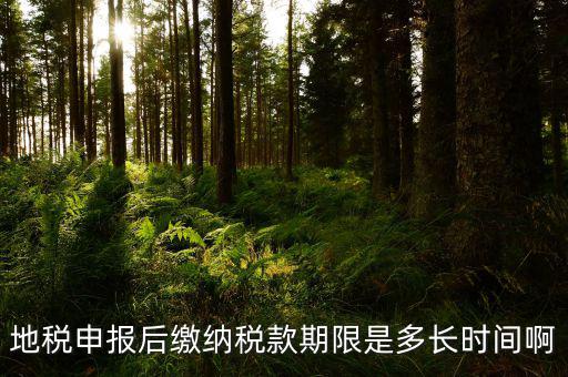 地稅申報(bào)后繳納稅款期限是多長時間啊