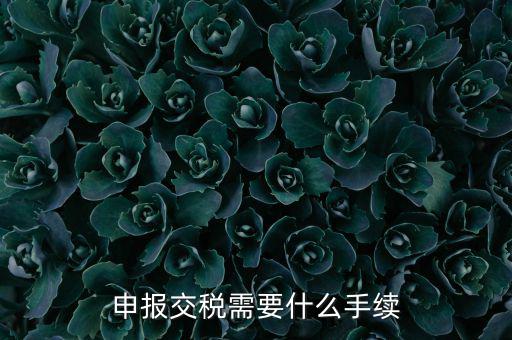 辦理稅務(wù)需要什么手續(xù)，稅務(wù)登記 代辦需要什么手續(xù)