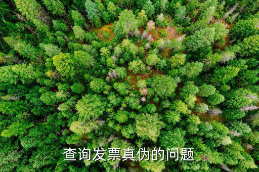 查發(fā)票真假為什么，查詢發(fā)票真?zhèn)蔚膯栴}