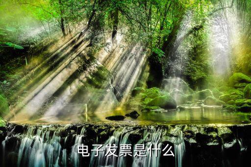 電子發(fā)票單位是什么樣的，什么叫電子發(fā)票
