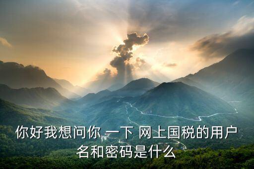 你好我想問你 一下 網上國稅的用戶名和密碼是什么