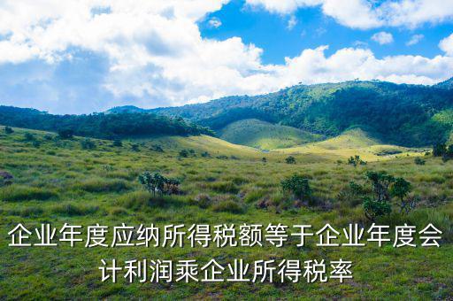 應(yīng)納稅所得額等于什么，什么是應(yīng)納稅所得額