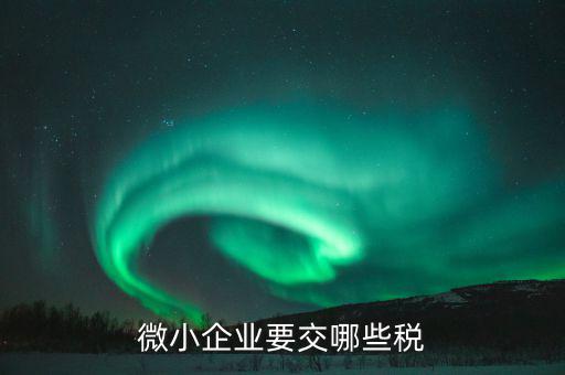 小微企業(yè)要交什么，小微企業(yè)要交哪些地稅