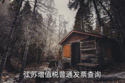 江蘇國(guó)稅網(wǎng)站運(yùn)行的環(huán)境是什么，江蘇國(guó)稅徐州網(wǎng)站怎么上不去