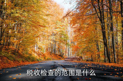 在地稅局需要檢查什么地方，稅務(wù)年檢是什么地方的來檢查