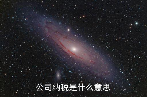 企業(yè)納稅是指什么，企業(yè)交稅是什么意思