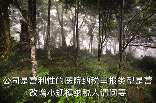 營改增醫(yī)院用什么發(fā)票，營改增認定的一般納稅人使用什么發(fā)票