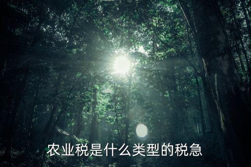 農(nóng)業(yè)稅屬于什么稅種，農(nóng)業(yè)稅就是人口稅嗎