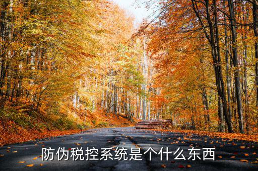 防偽稅控一體化什么時(shí)候，營(yíng)改增后漢字防偽企業(yè)抄報(bào)稅時(shí)需要使用什么設(shè)備
