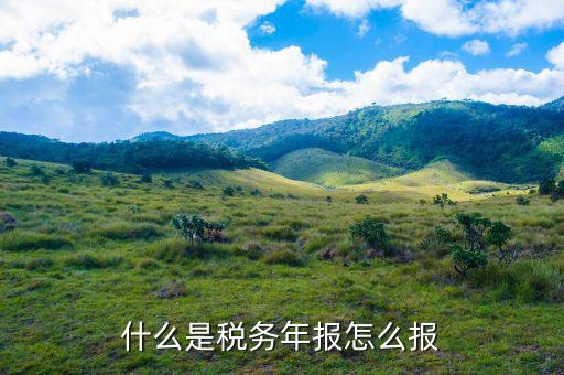 稅務(wù)局年報(bào)指報(bào)什么稅，我想知道稅務(wù)上年底所得稅年報(bào)指的是什么是不是季度那個(gè)表呀