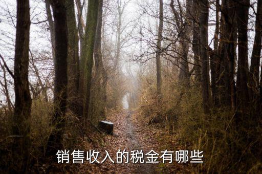 銷售交什么稅，銷售收入的稅金有哪些