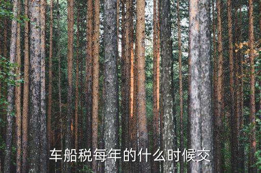 車船稅從什么時(shí)間交，車船稅什么時(shí)候交比如要交2017年的是2016年12月31日前交還是