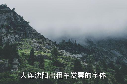 大連停車場(chǎng)發(fā)票什么樣，大連增值稅普通發(fā)票真?zhèn)卧趺床樵?/></a></span><span id=