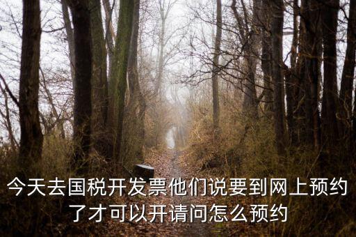 國(guó)稅預(yù)約的是什么，拿金稅盤去國(guó)稅前臺(tái)弄要預(yù)約嗎