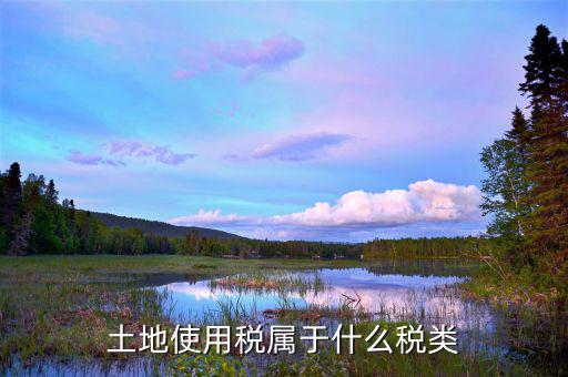 土地使用稅是放在什么類(lèi)別里的，土地使用稅屬于什么稅類(lèi)