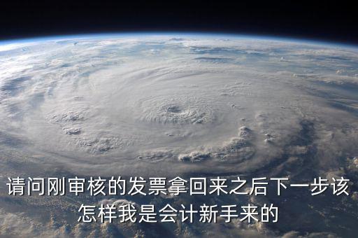 發(fā)票核定完之后接下來做什么，請問剛審核的發(fā)票拿回來之后下一步該怎樣我是會計新手來的