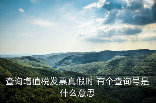 陜西省發(fā)票查詢號是什么意思，電子發(fā)票號碼是什么意思