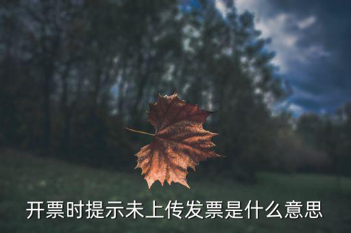 普通發(fā)票為什么顯示沒上傳，為什么我的發(fā)票顯示為未報送怎么辦