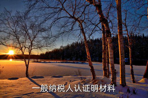 認證一般納稅人的要什么資料，一般納稅人認證明材料