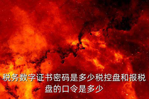 稅務(wù)數(shù)字證書(shū)密碼是多少稅控盤和報(bào)稅盤的口令是多少