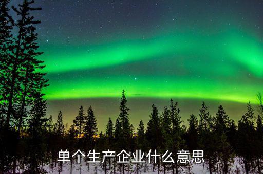 列名生產企業(yè)是什么意思，單個生產企業(yè)什么意思
