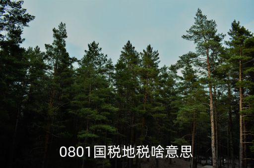 鹽城地稅三化是什么意思，地稅三優(yōu)兩促進(jìn)是什么意思