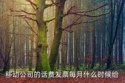 每個月什么時候領發(fā)票，移動公司的話費發(fā)票每月什么時候給