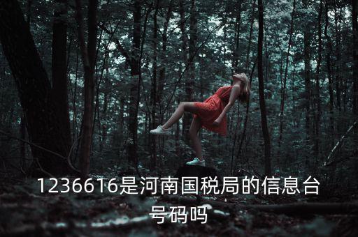 河南省國(guó)家稅務(wù)局賬號(hào)是什么，登錄國(guó)稅網(wǎng)上辦稅服務(wù)廳的用戶名和密碼是什么